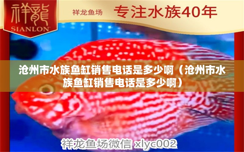 沧州市水族鱼缸销售电话是多少啊（沧州市水族鱼缸销售电话是多少啊）