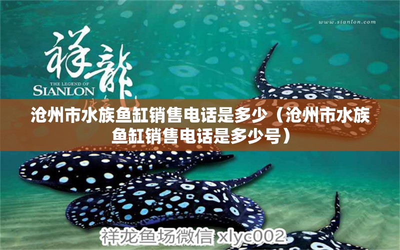 沧州市水族鱼缸销售电话是多少（沧州市水族鱼缸销售电话是多少号）