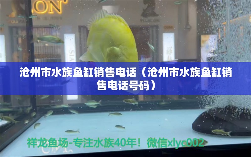 沧州市水族鱼缸销售电话（沧州市水族鱼缸销售电话号码） 其他品牌鱼缸