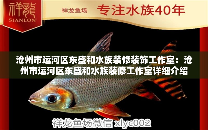 沧州市运河区东盛和水族装修装饰工作室：沧州市运河区东盛和水族装修工作室详细介绍