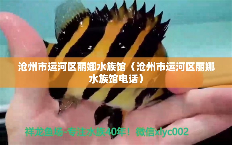 沧州市运河区丽娜水族馆（沧州市运河区丽娜水族馆电话） 全国水族馆企业名录