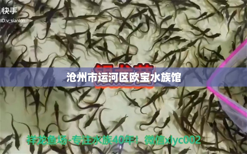 沧州市运河区欧宝水族馆 全国水族馆企业名录