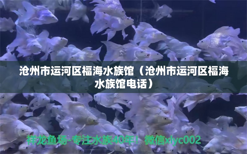 沧州市运河区福海水族馆（沧州市运河区福海水族馆电话）