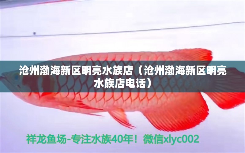 沧州渤海新区明亮水族店（沧州渤海新区明亮水族店电话） 全国水族馆企业名录