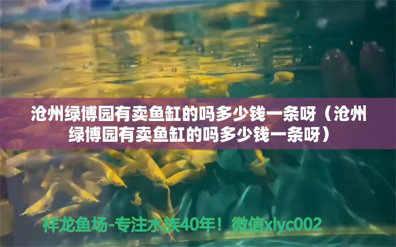 沧州绿博园有卖鱼缸的吗多少钱一条呀（沧州绿博园有卖鱼缸的吗多少钱一条呀） 观赏鱼市场（混养鱼）