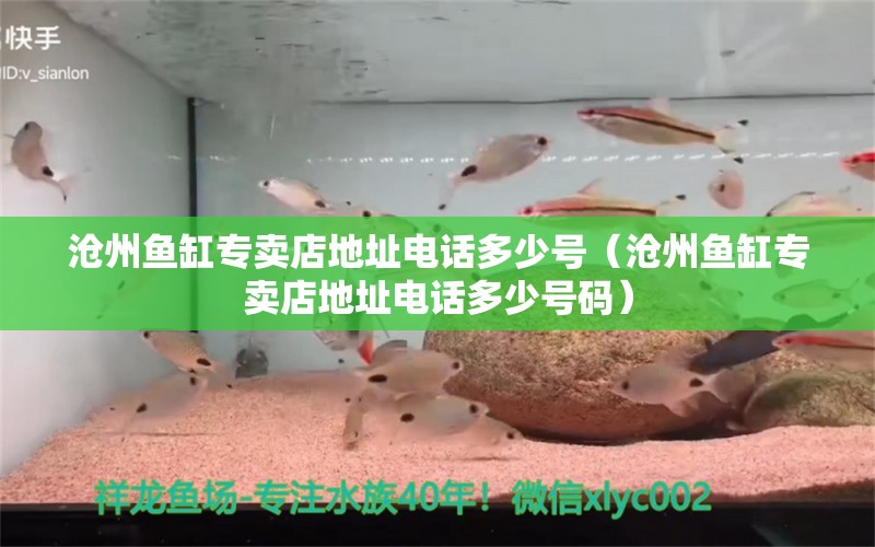 沧州鱼缸专卖店地址电话多少号（沧州鱼缸专卖店地址电话多少号码）