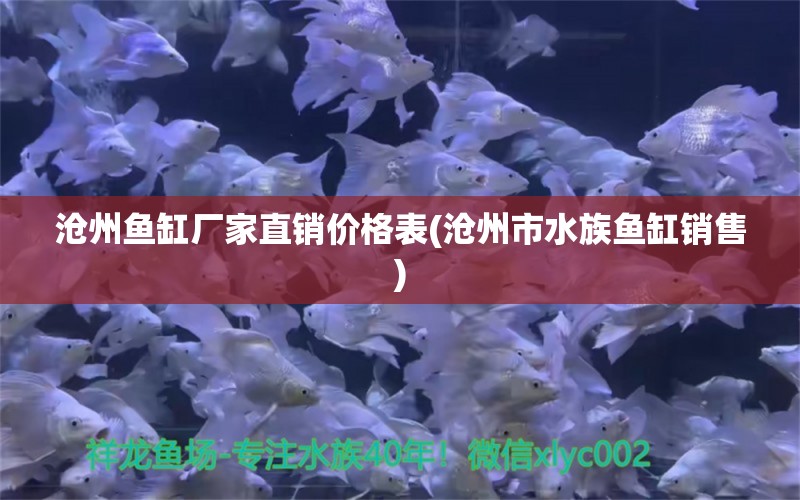 沧州鱼缸厂家直销价格表(沧州市水族鱼缸销售) 彩鲽鱼缸（彩蝶鱼缸）