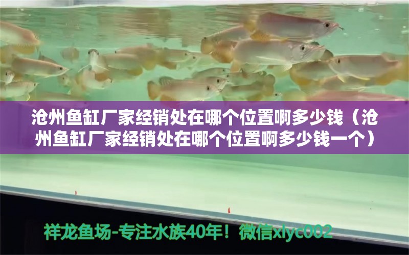 沧州鱼缸厂家经销处在哪个位置啊多少钱（沧州鱼缸厂家经销处在哪个位置啊多少钱一个）