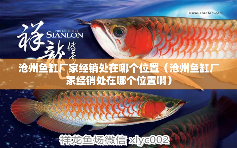 沧州鱼缸厂家经销处在哪个位置（沧州鱼缸厂家经销处在哪个位置啊） 其他品牌鱼缸