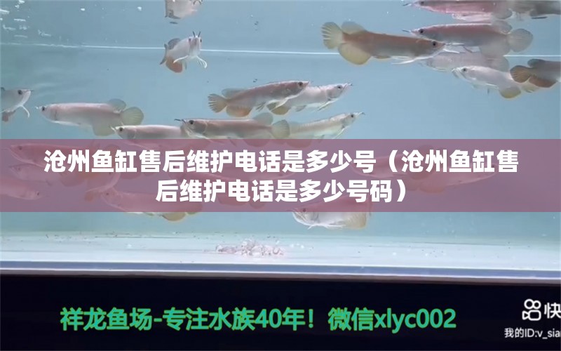 沧州鱼缸售后维护电话是多少号（沧州鱼缸售后维护电话是多少号码）