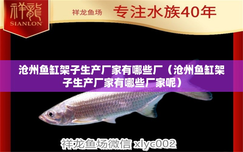沧州鱼缸架子生产厂家有哪些厂（沧州鱼缸架子生产厂家有哪些厂家呢）