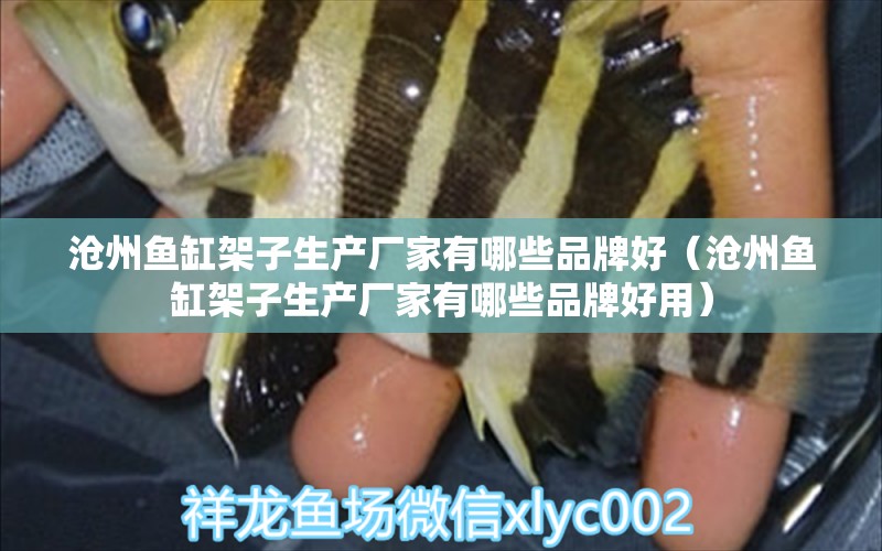 沧州鱼缸架子生产厂家有哪些品牌好（沧州鱼缸架子生产厂家有哪些品牌好用）