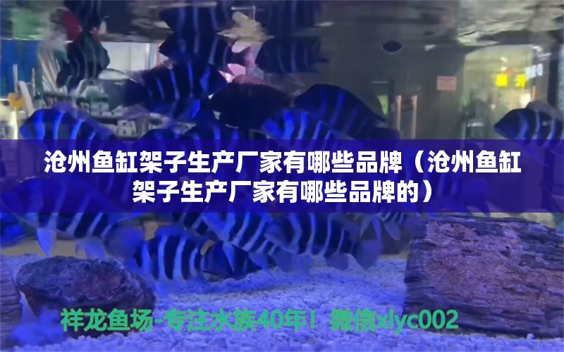 沧州鱼缸架子生产厂家有哪些品牌（沧州鱼缸架子生产厂家有哪些品牌的）