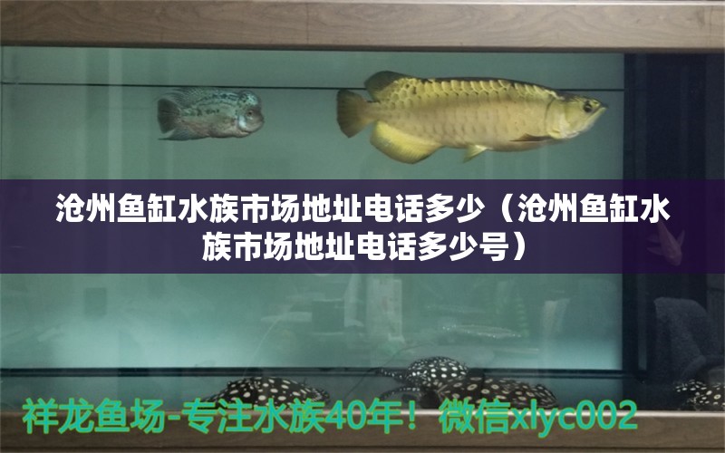 沧州鱼缸水族市场地址电话多少（沧州鱼缸水族市场地址电话多少号）