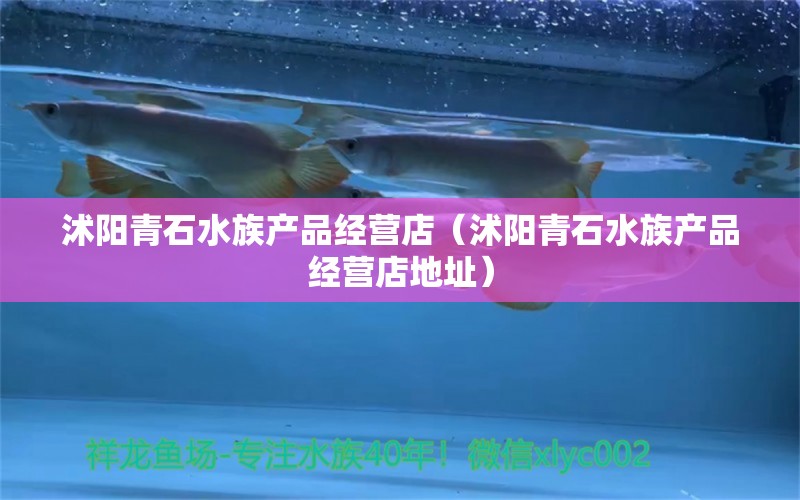 沭阳青石水族产品经营店（沭阳青石水族产品经营店地址）