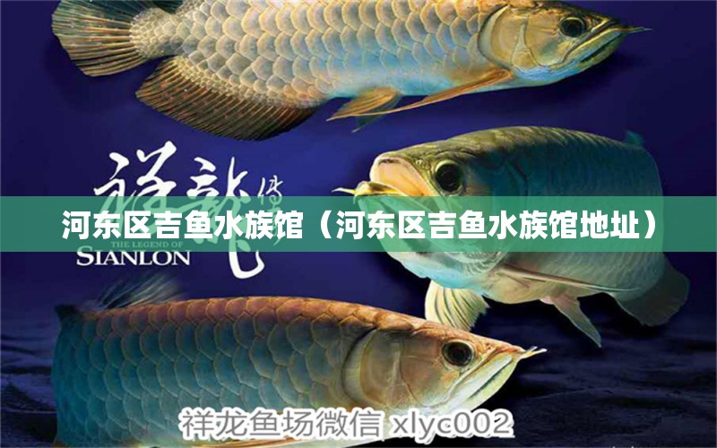 河东区吉鱼水族馆（河东区吉鱼水族馆地址）