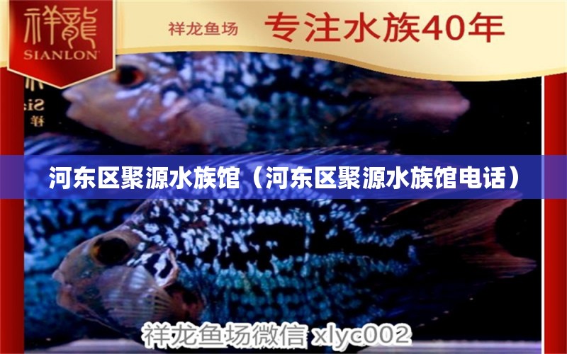 河东区聚源水族馆（河东区聚源水族馆电话） 全国水族馆企业名录