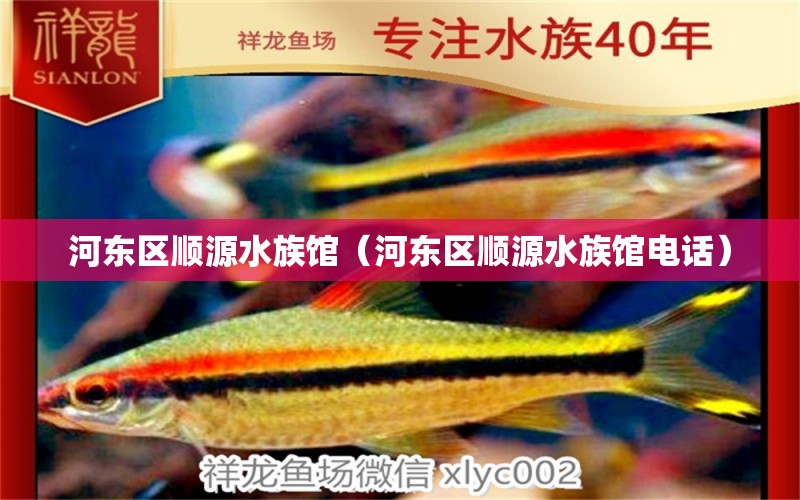 河东区顺源水族馆（河东区顺源水族馆电话）