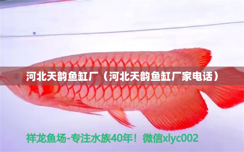 河北天韵鱼缸厂（河北天韵鱼缸厂家电话） 祥龙水族医院