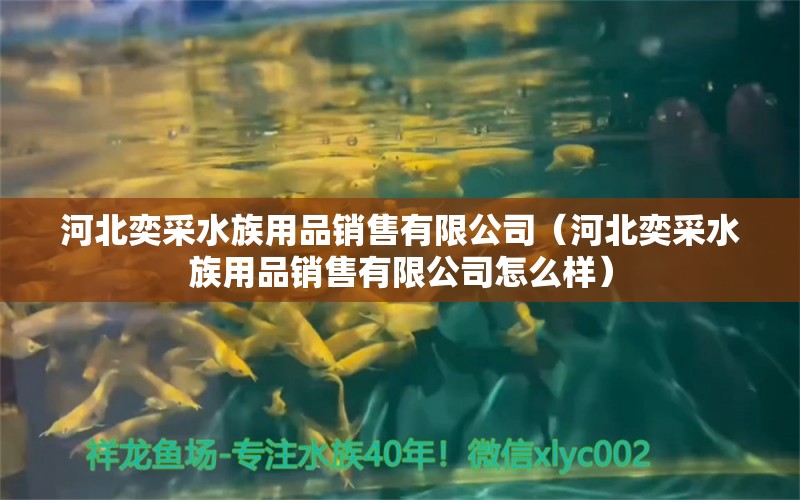 河北奕采水族用品销售有限公司（河北奕采水族用品销售有限公司怎么样）