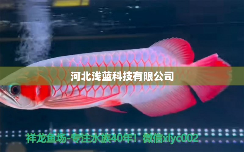 河北浅蓝科技有限公司 全国水族馆企业名录