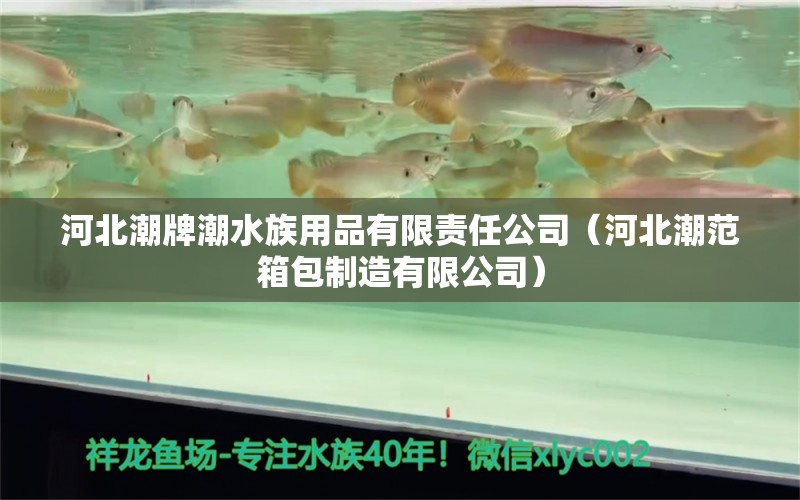 河北潮牌潮水族用品有限责任公司（河北潮范箱包制造有限公司） 水族用品