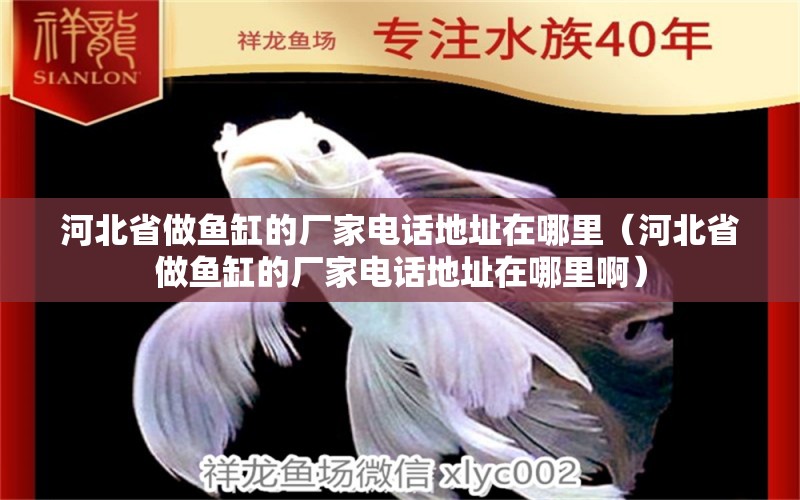 河北省做鱼缸的厂家电话地址在哪里（河北省做鱼缸的厂家电话地址在哪里啊） 星点金龙鱼