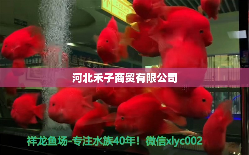 河北禾子商贸有限公司 全国水族馆企业名录