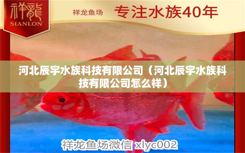 河北辰宇水族科技有限公司（河北辰宇水族科技有限公司怎么样）