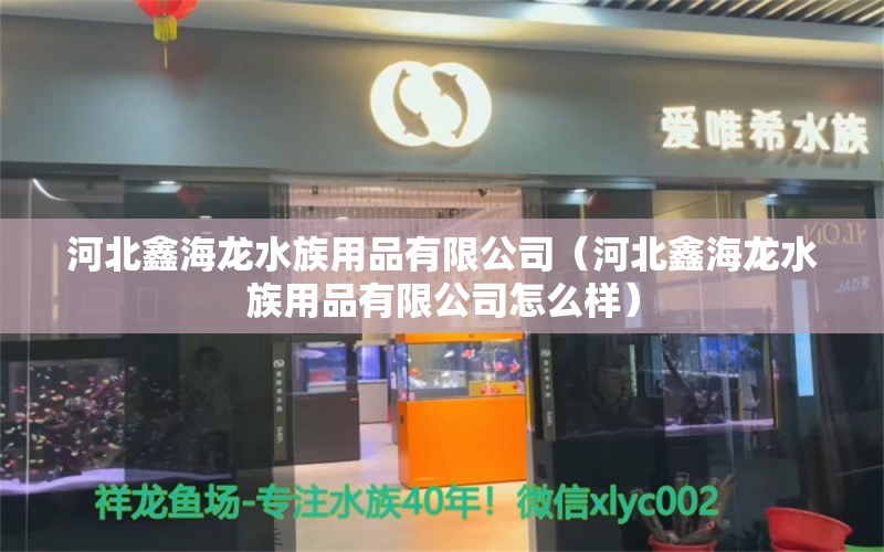 河北鑫海龙水族用品有限公司（河北鑫海龙水族用品有限公司怎么样）