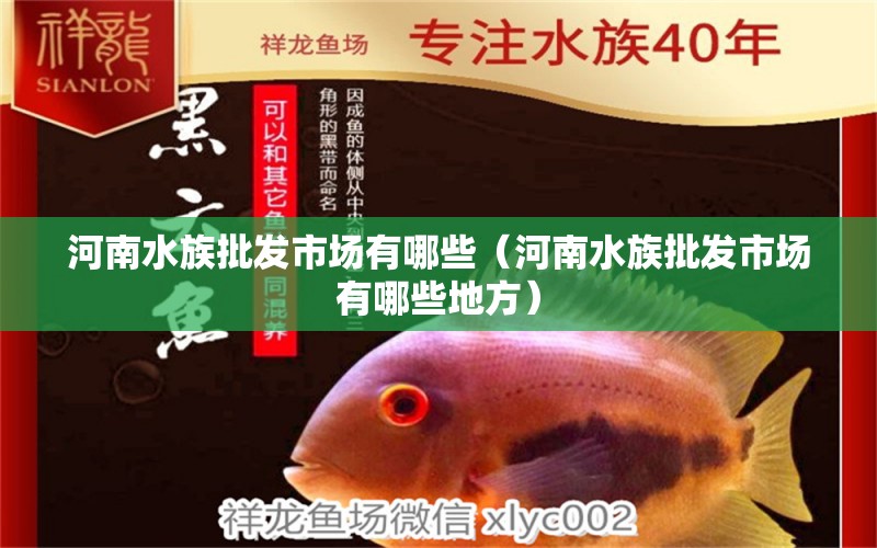 河南水族批发市场有哪些（河南水族批发市场有哪些地方）