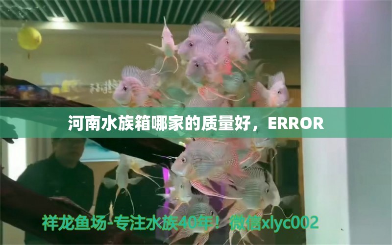 河南水族箱哪家的质量好，ERROR