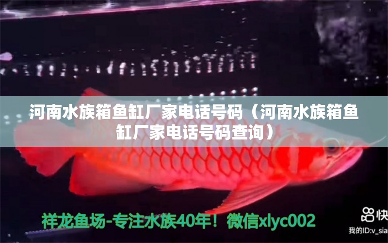 河南水族箱鱼缸厂家电话号码（河南水族箱鱼缸厂家电话号码查询）