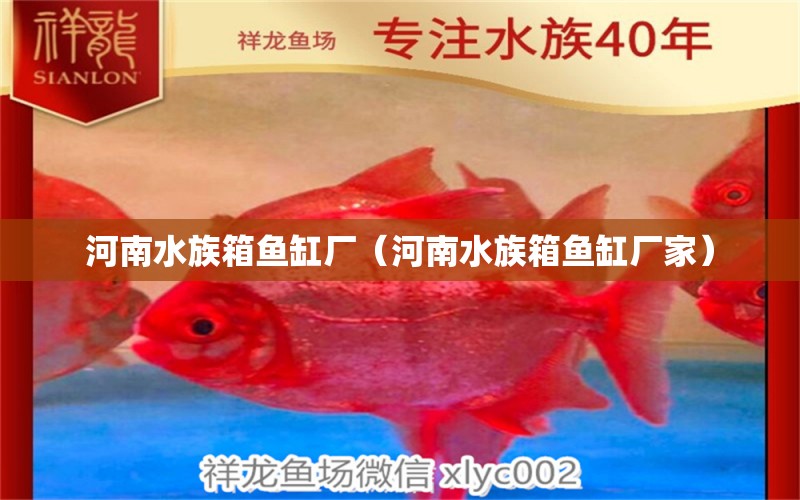 河南水族箱鱼缸厂（河南水族箱鱼缸厂家）