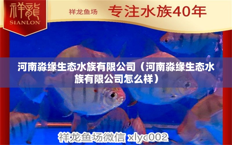 河南淼缘生态水族有限公司（河南淼缘生态水族有限公司怎么样）