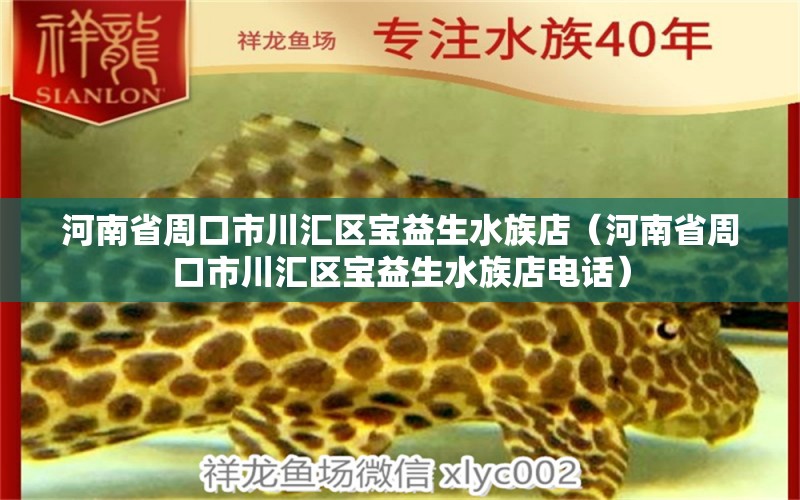 河南省周口市川汇区宝益生水族店（河南省周口市川汇区宝益生水族店电话）