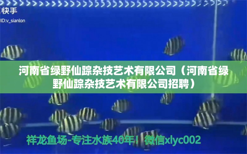 河南省绿野仙踪杂技艺术有限公司（河南省绿野仙踪杂技艺术有限公司招聘） 全国水族馆企业名录