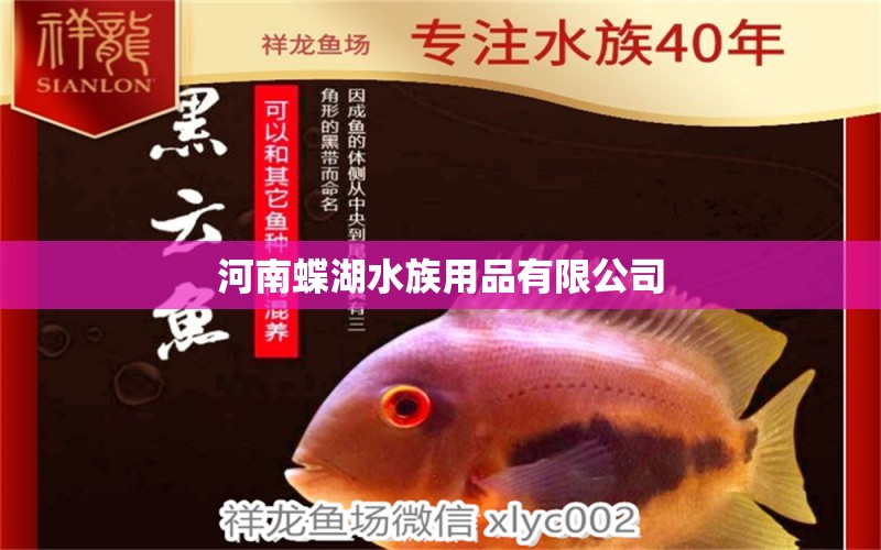 河南蝶湖水族用品有限公司