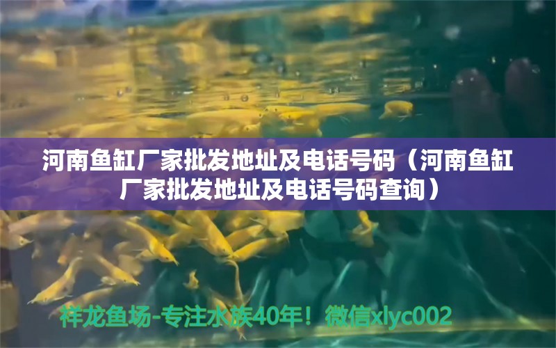 河南鱼缸厂家批发地址及电话号码（河南鱼缸厂家批发地址及电话号码查询）