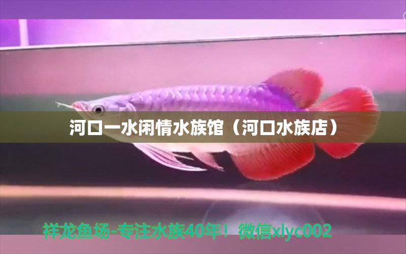 河口一水闲情水族馆（河口水族店） 全国水族馆企业名录