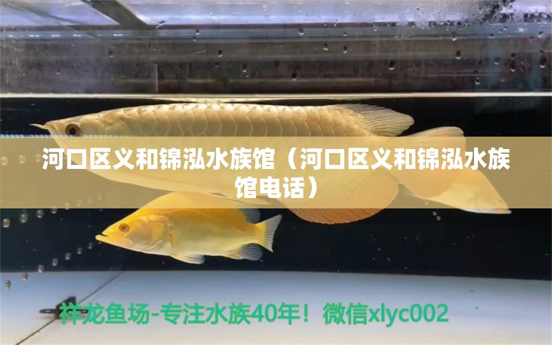 河口区义和锦泓水族馆（河口区义和锦泓水族馆电话）