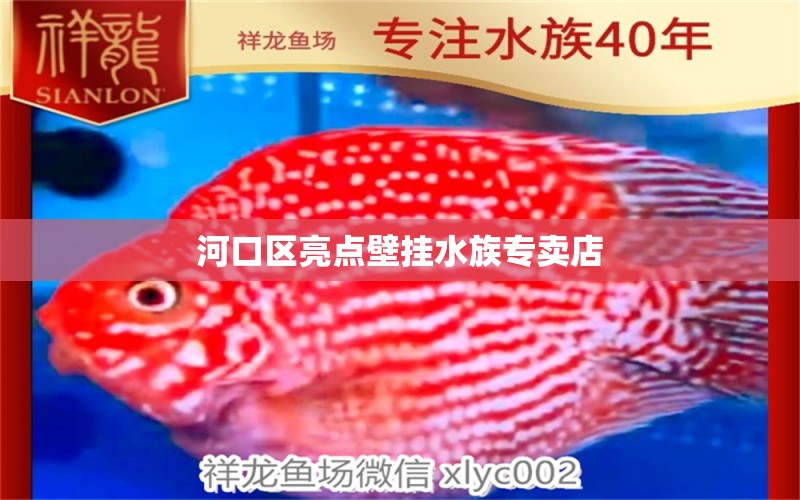 河口区亮点壁挂水族专卖店 全国水族馆企业名录