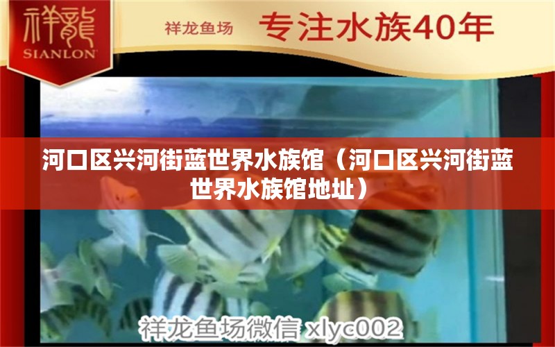 河口区兴河街蓝世界水族馆（河口区兴河街蓝世界水族馆地址） 全国水族馆企业名录