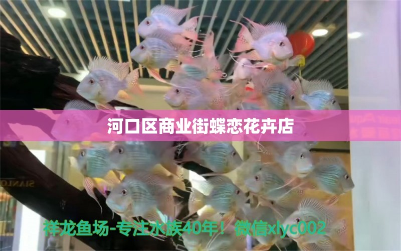 河口区商业街蝶恋花卉店 全国水族馆企业名录 第1张