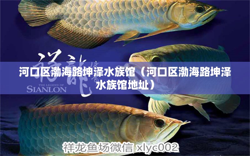 河口区渤海路坤泽水族馆（河口区渤海路坤泽水族馆地址）