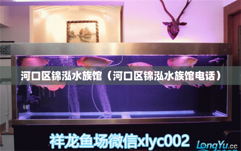 河口区锦泓水族馆（河口区锦泓水族馆电话） 全国水族馆企业名录