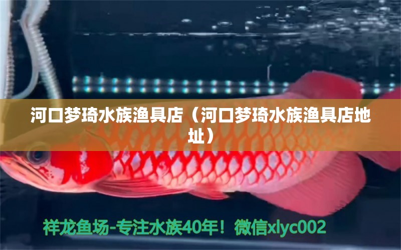 河口梦琦水族渔具店（河口梦琦水族渔具店地址）