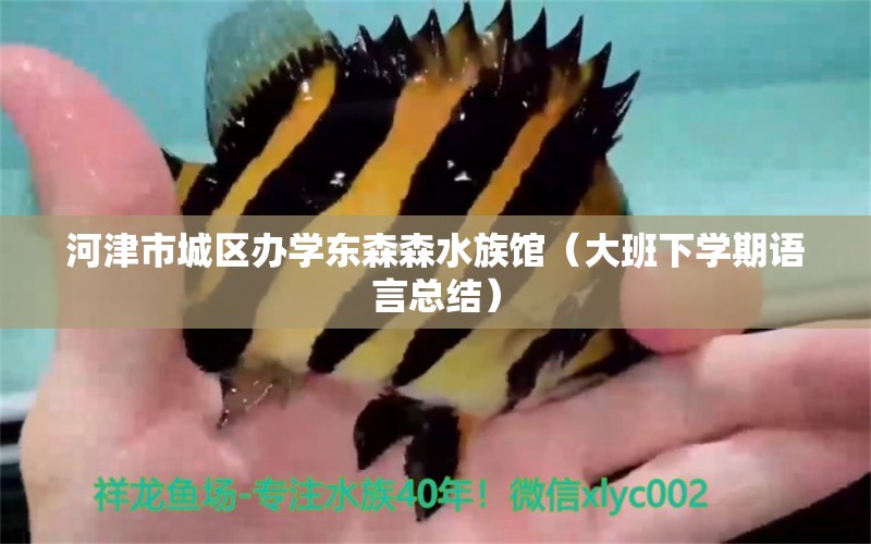 河津市城区办学东森森水族馆（大班下学期语言总结） 全国水族馆企业名录