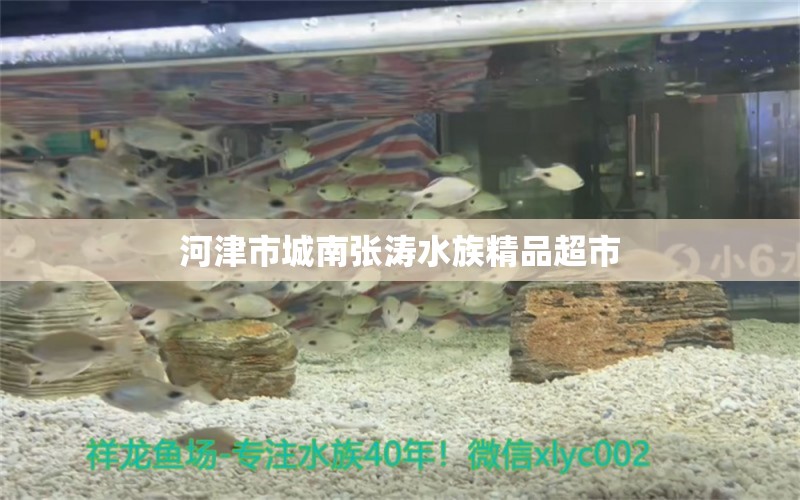 河津市城南张涛水族精品超市