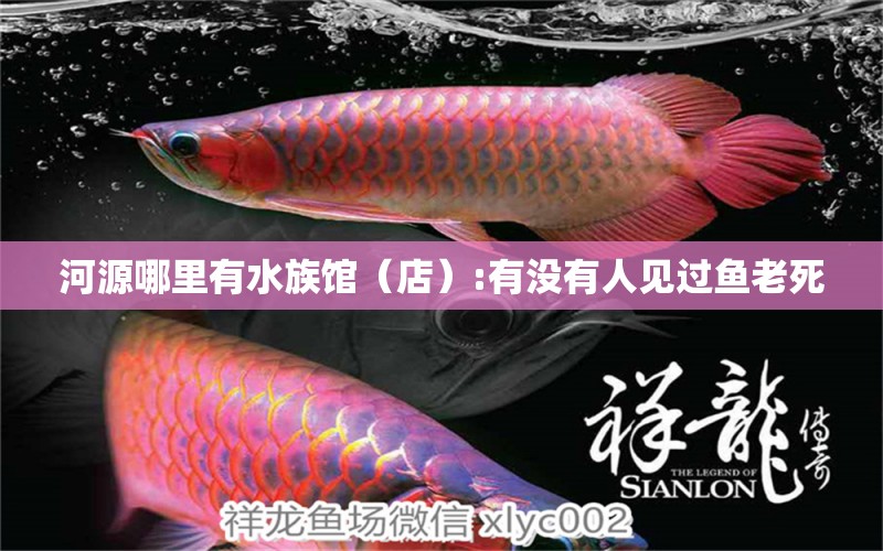 河源哪里有水族馆（店）:有没有人见过鱼老死